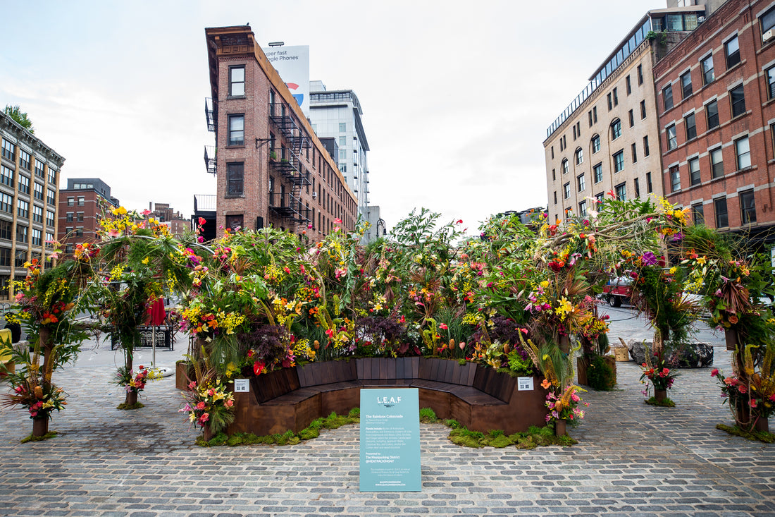 LEAF Festival of Flowers & Lights on the Cobbles