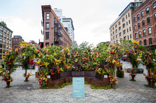 LEAF Festival of Flowers & Lights on the Cobbles