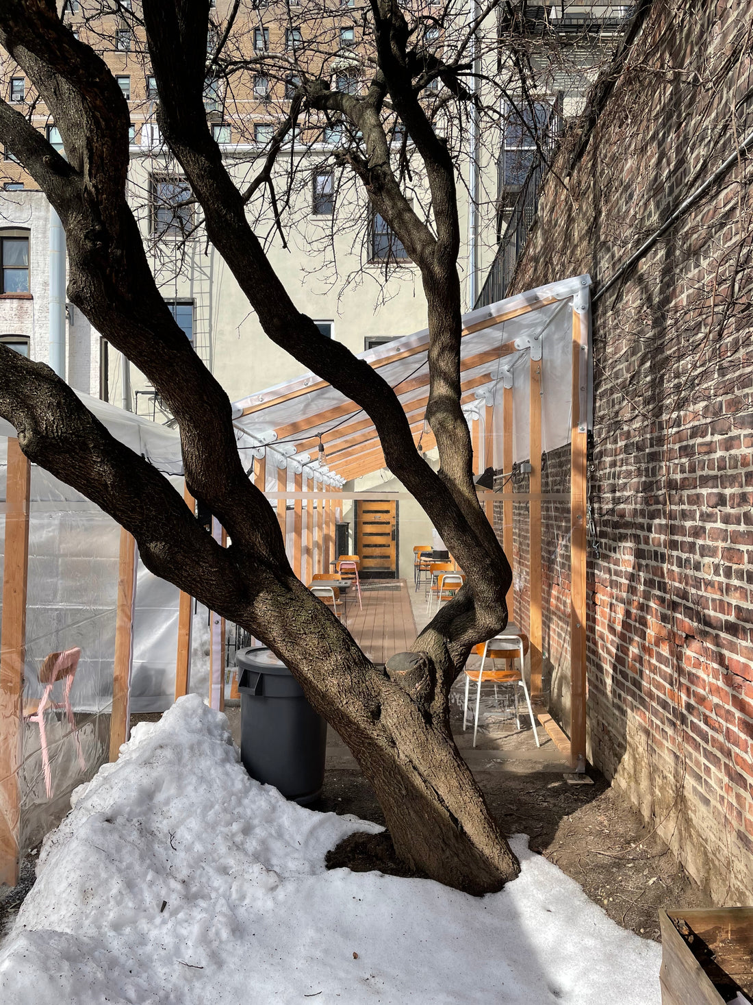 Claw Daddys - Brooklyn